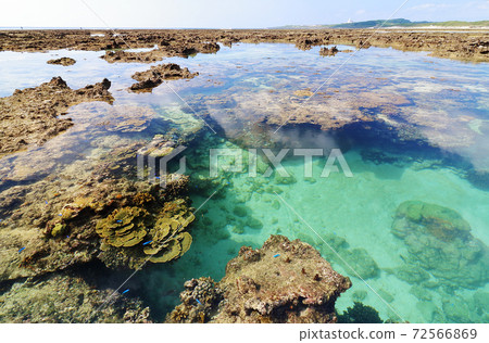 沖繩本島南部的沖繩海大島海灘,可以看到珊瑚 沖繩本島南部的沖繩海大島海灘,可以看到珊瑚 72566869