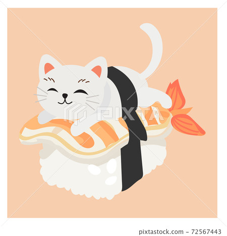 cute kitty cat in sushi,Shrimp sushi. cute kitty cat in sushi,Shrimp sushi. 72567443