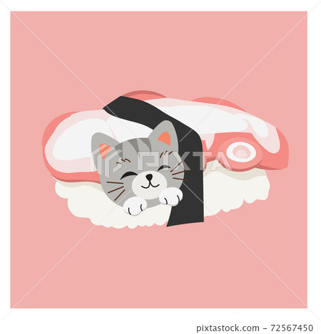 cute kitty cat in sushi, Squid sushi. cute kitty cat in sushi, Squid sushi. 72567450