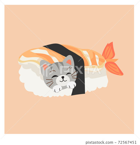 cute kitty cat in sushi,Shrimp sushi. cute kitty cat in sushi,Shrimp sushi. 72567451