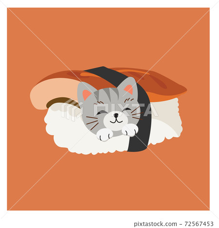 cute kitty cat in sushi, Eel sushi. 72567453