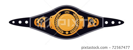 Mixed martial arts champion belt on white backdrop 72567477
