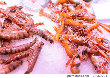 Different sorts of fish, crayfishes, crabs, molluscs, arthropods at fish market Different sorts of fish, crayfishes, crabs, molluscs, arthropods at fish market 72567721