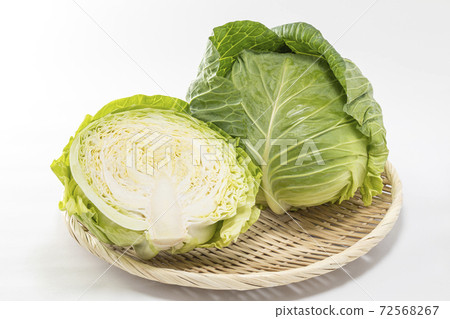 在白色背景上的白菜 72568267