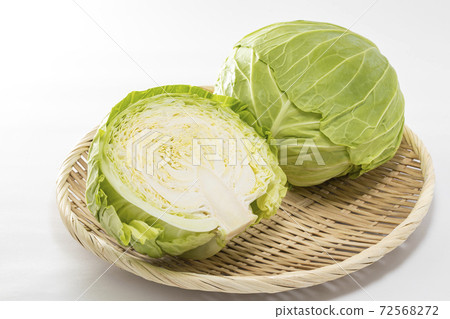 在白色背景上的白菜 在白色背景上的白菜 72568272