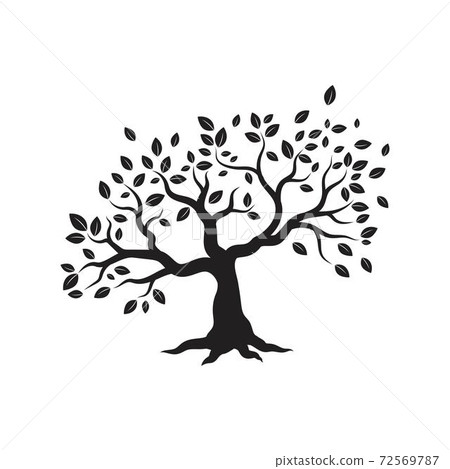 Tree branch vector ilustration design Tree branch vector ilustration design 72569787