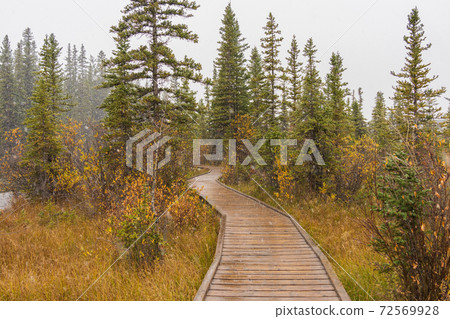 Snowing Policeman Creek Riverside Trail, Spring Creek Boardwalk in Late fall to early winter season. Town of Canmore, Alberta, Canada. 72569928