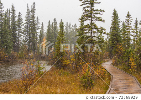 Snowing Policeman Creek Riverside Trail, Spring Creek Boardwalk in Late fall to early winter season. Town of Canmore, Alberta, Canada. 72569929
