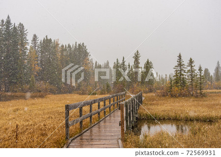 Snowing Policeman Creek Riverside Trail, Spring Creek Boardwalk in Late fall to early winter season. Town of Canmore, Alberta, Canada. 72569931