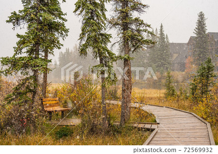 Snowing Policeman Creek Riverside Trail, Spring Creek Boardwalk in Late fall to early winter season. Town of Canmore, Alberta, Canada. 72569932