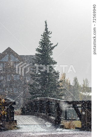 Snowing Policeman Creek Riverside Trail, Spring Creek Boardwalk in Late fall to early winter season. Town of Canmore, Alberta, Canada. 72569940