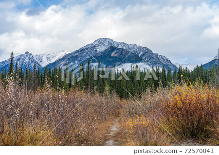 Snow capped Mount Lady MacDonald mountain in autumn. Beautiful natural scenery landscape at Canmore, Canadian Rockies, Alberta, Canada. Snow capped Mount Lady MacDonald mountain in autumn. Beautiful natural scenery landscape at Canmore, Canadian Rockies, Alberta, Canada. 72570041