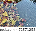 紅色和黃色的秋葉漂浮在水面上 72571258