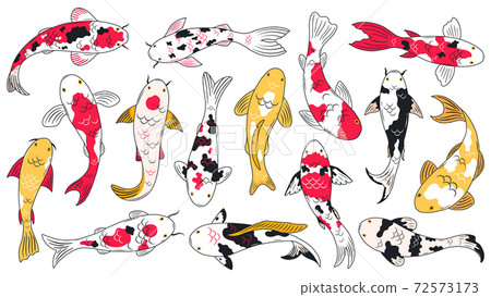 Oriental koi fish. Koi carps, asian ornamental fish, traditional oriental fishery. Chinese floating koi fish vector illustration Oriental koi fish. Koi carps, asian ornamental fish, traditional oriental fishery. Chinese floating koi fish vector illustration 72573173