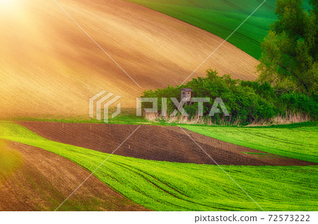 Rural spring landscape Rural spring landscape 72573222