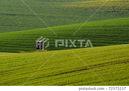 Green grass field background Green grass field background 72573237