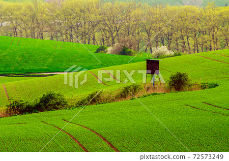 Rural spring landscape 72573249