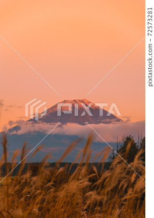 來自朝霧高原和赤富士山的鈴木 照片素材 圖片 圖庫