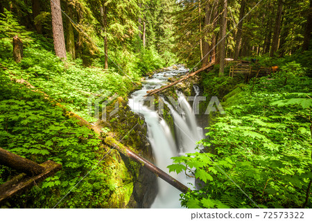 Sol Duc Falls in Olympic National Park, Washington 72573322