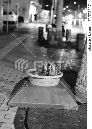 宮古島/西里通 72573397