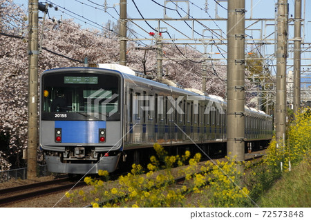 西武新宿線 20050 系列（每站 8 節車廂）沿著櫻花樹行駛 72573848