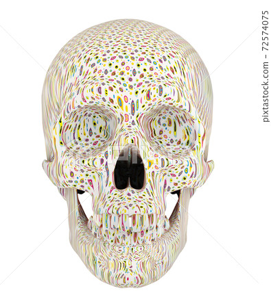 3d render of ornamented human skull isolated on white 3d render of ornamented human skull isolated on white 72574075