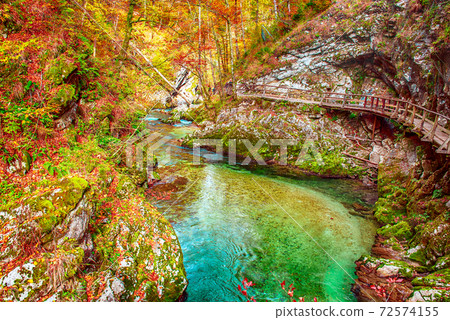 Vintgar gorge, Slovenia 72574155