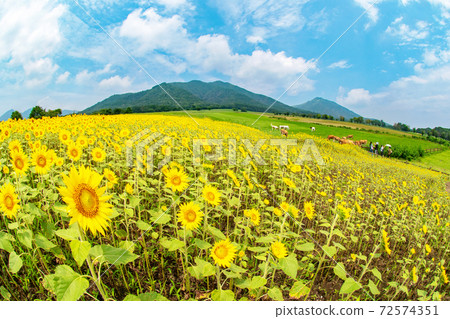 廣山高原的夏天形象 72574351