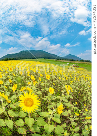 Summer image of Hiruzen Highlands 72574353