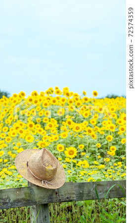 Summer image of Hiruzen Highlands 72574359