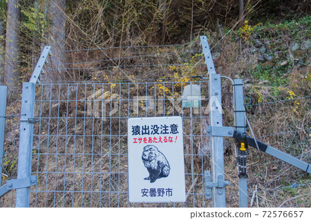 標誌和護欄，以防猴子 72576657