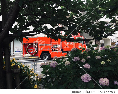 繡球花和消防車 72576705
