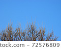 Blue sky and tree branches 72576809