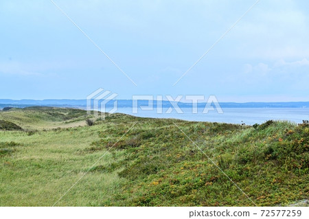 Scenery of Koshimizu Wild Flower Garden in late autumn @ Abashiri, Hokkaido 72577259