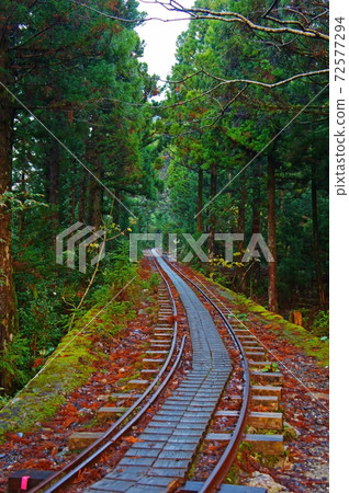 繩紋雪松路線小車路 72577294