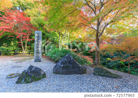 日本清酒的發祥地 72577903