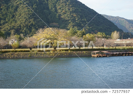 Kinkawa:在Kinobibashi上游的風景 Kinkawa:在Kinobibashi上游的風景 72577937