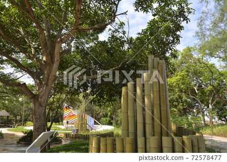 臺中世界花卉博覽會,草地,公共藝術,裝置藝術,竹子,綠色,樹 72578477
