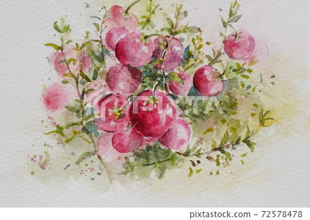 Happy berry watercolor painting 72578478