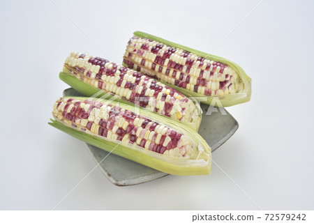 Colorful corn, corn, food, agriculture, crops 72579242