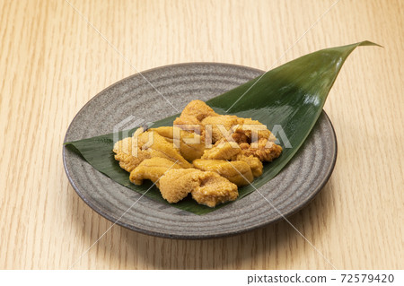 海膽 海膽 72579420