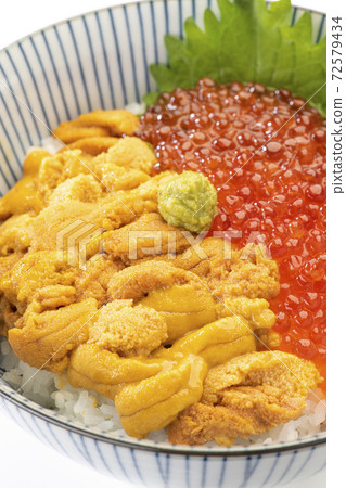 Sea urchin salmon roe Sea urchin salmon roe 72579434