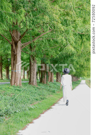 Shiga Prefecture Metasequoia Namiki Female 72580092