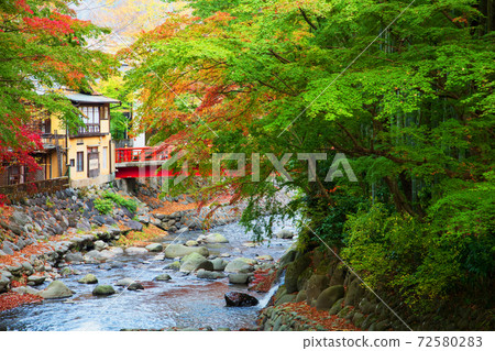 Shuzenji Onsen Shuzenji Onsen 72580283