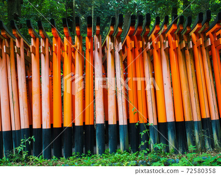 Fushimi Inari Shrine  72580358