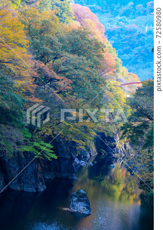 渡瀨谷秋葉 72580980