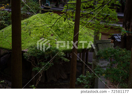 Miwa Myojin Oomiwa Shrine 72581177
