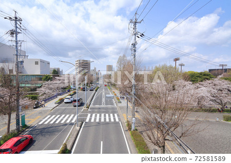 Nagoya City Mizuho ku Osaka 72581589
