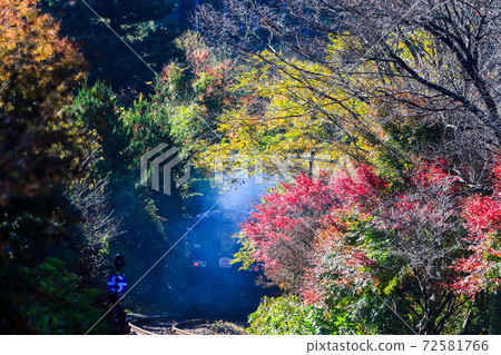 Run in autumn! Watarase Valley Railway 72581766