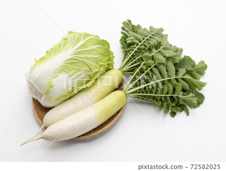 Chinese cabbage and radish with leaves 72582025